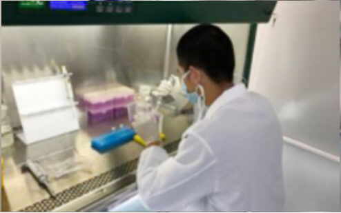 Scientist preparing samples in a clean bench